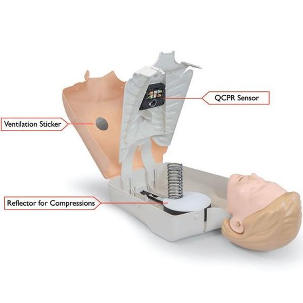 MANICHINO BLS RCP TORSO LITTLE ANNE QCPR - LAERDAL 