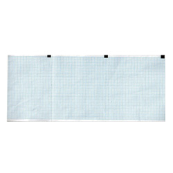 PACCO CARTA TERMICA ECG ELETTRONICA TRENTINA / CARDIETTE / CARDIOLINE - 120mmx100m x 300 fogli - conf.10pz