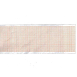 ROTOLO CARTA TERMICA ECG CONTEC 1200 / 1201 / 1212 - rotoli da 210mmx30m - conf.5pz